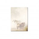 Motivpapier PFERDE IM NEBEL 50 Blatt DIN A4 90g/m²