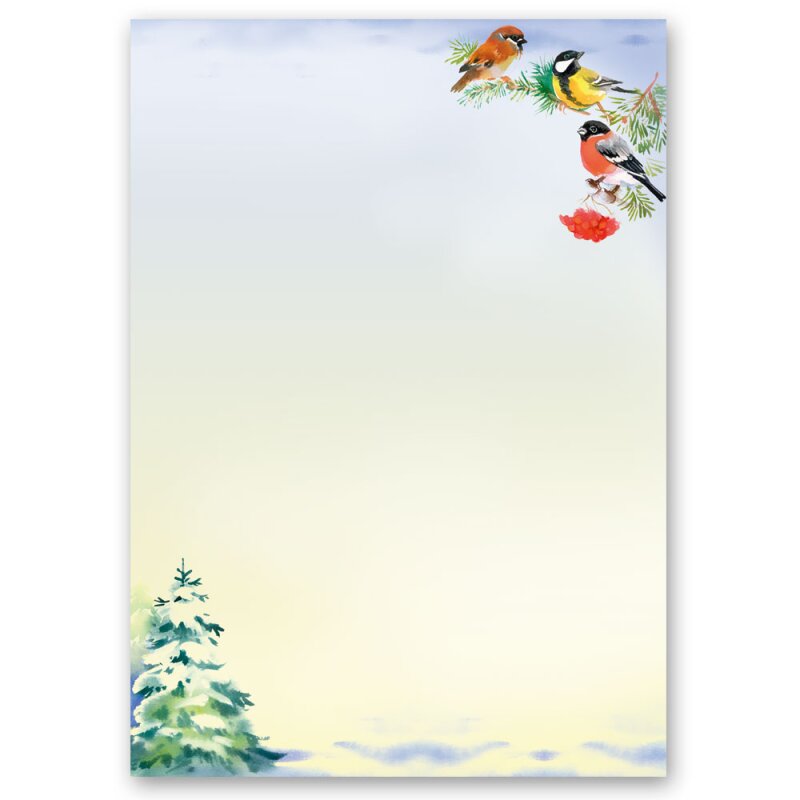 Motivpapier Briefpapier (Winter-5163, DIN A4, 100 Blatt