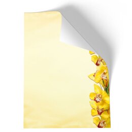 Briefpapier - Motiv GELBE ORCHIDEEN | Blumen & Blüten | Hochwertiges DIN A4 Briefpapier - 100 Blatt | 90 g/m² | einseitig bedruckt | Online bestellen!