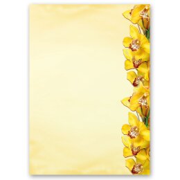 Briefpapier-Sets Blumen & Blüten, GELBE ORCHIDEEN Briefpapier Set, 20 tlg. - DIN A4 & DIN LANG im Set. | Online bestellen! | Paper-Media