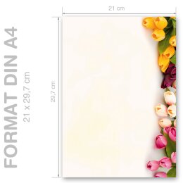 BUNTE TULPEN Briefpapier Blumenmotiv CLASSIC 250 Blatt Briefpapier Paper-Media A4C-8241-250