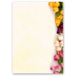 Briefpapier BUNTE TULPEN - DIN A5 Format 50 Blatt Blumen & Blüten, Blumenmotiv, Paper-Media