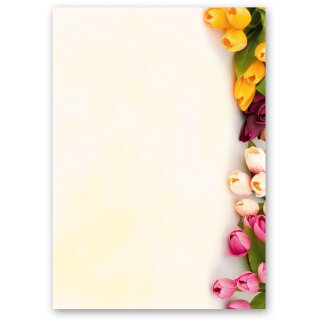 Briefpapier BUNTE TULPEN - DIN A5 Format 250 Blatt Blumen & Blüten, Blumenmotiv, Paper-Media
