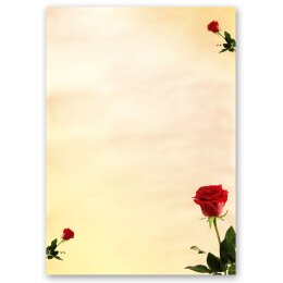 Briefpapier - Motiv BACCARA ROSEN | Blumen & Blüten, Liebe & Hochzeit Rosenmotiv | Hochwertiges Briefpapier einseitig bedruckt | Online bestellen! | Paper-Media