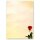 Briefpapier BACCARA ROSEN - DIN A5 Format 100 Blatt Blumen & Blüten, Liebe & Hochzeit, Blumenmotiv, Paper-Media