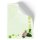 Briefpapier - Motiv BLUMENGRÜSSE | Blumen & Blüten | Hochwertiges DIN A5 Briefpapier - 100 Blatt | 90 g/m² | einseitig bedruckt | Online bestellen!
