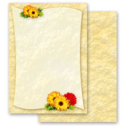 Briefpapier GERBERA - DIN A4 Format 50 Blatt