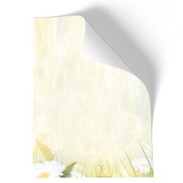 Briefpapier - Motiv MARGERITEN | Blumen & Blüten | Hochwertiges DIN A4 Briefpapier - 50 Blatt | 90 g/m² | einseitig bedruckt | Online bestellen!