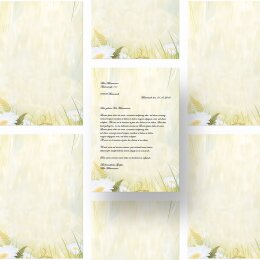 Motivpapier MARGERITEN - DIN A5 Format 50 Blatt