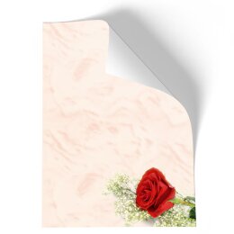 Briefpapier - Motiv ROTE ROSE | Blumen & Blüten, Liebe & Hochzeit | Hochwertiges DIN A4 Briefpapier - 250 Blatt | 90 g/m² | einseitig bedruckt | Online bestellen!