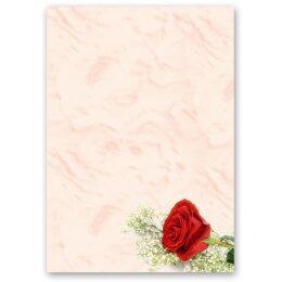 Briefpapier ROTE ROSE - DIN A5 Format 250 Blatt Blumen & Blüten, Liebe & Hochzeit, Rosenmotiv, Paper-Media