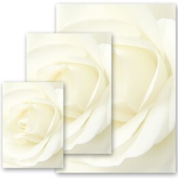 Briefpapier WEISSE ROSE Blumen & Blüten, Liebe &...