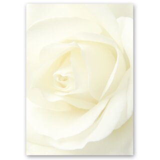 Briefpapier WEISSE ROSE - DIN A4 Format 250 Blatt Blumen & Blüten, Liebe & Hochzeit, Rosenmotiv, Paper-Media