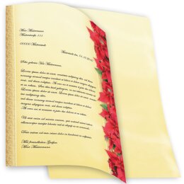 Briefpapier ROTE WEIHNACHTSSTERNE - DIN A4 Format 100 Blatt