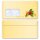 Briefumschläge SANTA CLAUS - 50 Stück DIN LANG (mit Fenster) Weihnachten, Weinachtsbriefumschläge, Paper-Media