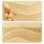 Briefpapier Set MUSCHELN IM SAND - 20-tlg. DL (ohne Fenster)