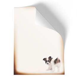 Tiere | Briefpapier - Motiv LUSTIGER WELPE | Tierwelt |...