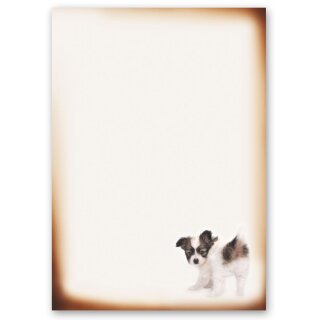 Briefpapier LUSTIGER WELPE - DIN A4 Format 50 Blatt Tierwelt, Tiere, Paper-Media