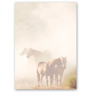 Briefpapier PFERDE IM NEBEL - DIN A4 Format 50 Blatt Tierwelt, Tiere, Paper-Media