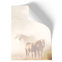 Briefpapier - Motiv PFERDE IM NEBEL | Tierwelt | Hochwertiges DIN A5 Briefpapier - 50 Blatt | 90 g/m² | einseitig bedruckt | Online bestellen!