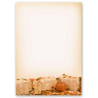 Briefpapier HERBSTLAUB - DIN A4 Format 20 Blatt Jahreszeiten - Herbst, Herbstmotiv, Paper-Media