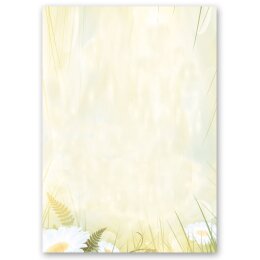 Briefpapier Set MARGERITEN - 100-tlg. DL (mit Fenster)