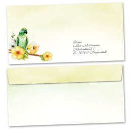 Motiv-Briefumschläge Tierwelt, GRÜNER PAPAGEI 50 Briefumschläge (ohne Fenster) - DIN LANG (220x110 mm) | selbstklebend | Online bestellen! | Paper-Media
