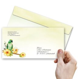 GRÜNER PAPAGEI Briefumschläge Tiere CLASSIC 50 Briefumschläge (ohne Fenster), DIN LANG (220x110 mm), DLOF-8356-50