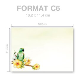 GRÜNER PAPAGEI Briefumschläge Tiere CLASSIC 10 Briefumschläge, DIN C6 (162x114 mm), C6-8356-10