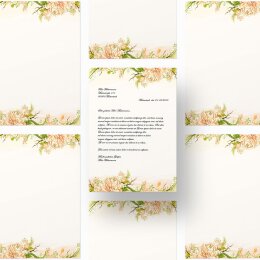 Briefpapier PFINGSTROSEN - DIN A4 Format 250 Blatt