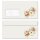 HERBSTGARTEN Briefpapier Sets Kürbis CLASSIC Briefpapier Set, 40 tlg., DIN A4 & DIN LANG im Set., SMC-8369-40