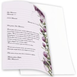 Briefpapier - Motiv KROKUSSE | Blumen & Blüten | Hochwertiges DIN A4 Briefpapier - 50 Blatt | 90 g/m² | einseitig bedruckt | Online bestellen!