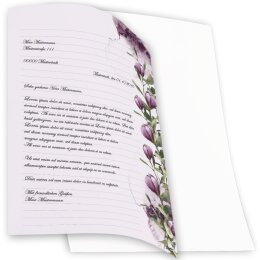 Briefpapier - Motiv KROKUSSE | Blumen & Blüten | Hochwertiges DIN A4 Briefpapier - 100 Blatt | 90 g/m² | einseitig bedruckt | Online bestellen!