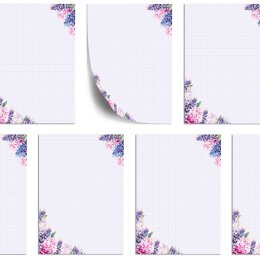 Briefpapier HYAZINTHEN - DIN A5 Format 50 Blatt