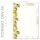 ZITRONEN Briefpapier Obst-Früchte CLASSIC 250 Blatt Briefpapier, DIN A5 (148x210 mm), A5C-169-250