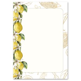 Briefpapier-Sets Essen & Trinken, ZITRONEN Briefpapier Set, 20 tlg. - DIN A4 & DIN LANG im Set. | Online bestellen! | Paper-Media