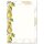 Briefpapier-Sets Essen & Trinken, ZITRONEN Briefpapier Set, 20 tlg. - DIN A4 & DIN LANG im Set. | Online bestellen! | Paper-Media
