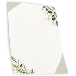 Motivpapier OLIVENZWEIGE - DIN A5 Format 250 Blatt
