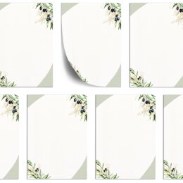 Motivpapier OLIVENZWEIGE - DIN A5 Format 250 Blatt